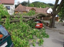 Kwikfynd Tree Cutting Services
mountrankin