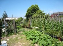 Kwikfynd Vegetable Gardens
mountrankin